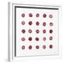 Patterned Rosette II-Tyson Estes-Framed Giclee Print