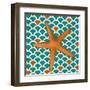 Patterned Shell II-Elizabeth Medley-Framed Art Print