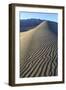 Patterns Along the Sand Dunes, Mesquite Dunes, Death Valley NP-James White-Framed Photographic Print