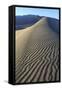 Patterns Along the Sand Dunes, Mesquite Dunes, Death Valley NP-James White-Framed Stretched Canvas