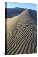 Patterns Along the Sand Dunes, Mesquite Dunes, Death Valley NP-James White-Stretched Canvas