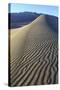 Patterns Along the Sand Dunes, Mesquite Dunes, Death Valley NP-James White-Stretched Canvas