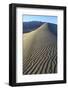 Patterns Along the Sand Dunes, Mesquite Dunes, Death Valley NP-James White-Framed Photographic Print