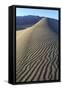 Patterns Along the Sand Dunes, Mesquite Dunes, Death Valley NP-James White-Framed Stretched Canvas