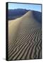Patterns Along the Sand Dunes, Mesquite Dunes, Death Valley NP-James White-Framed Stretched Canvas