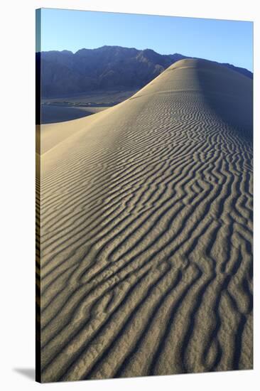 Patterns Along the Sand Dunes, Mesquite Dunes, Death Valley NP-James White-Stretched Canvas