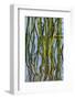 Patterns Amid the Reflection of Reeds in the Waters of Lake Murray-Michael Qualls-Framed Photographic Print