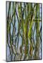 Patterns Amid the Reflection of Reeds in the Waters of Lake Murray-Michael Qualls-Mounted Photographic Print