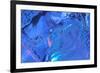 Patterns and textures of ice blocks near Fairbanks, Alaska, USA-Stuart Westmorland-Framed Photographic Print