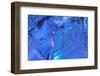 Patterns and textures of ice blocks near Fairbanks, Alaska, USA-Stuart Westmorland-Framed Photographic Print