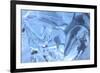 Patterns and textures of ice blocks near Fairbanks, Alaska, USA-Stuart Westmorland-Framed Premium Photographic Print