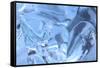 Patterns and textures of ice blocks near Fairbanks, Alaska, USA-Stuart Westmorland-Framed Stretched Canvas