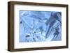 Patterns and textures of ice blocks near Fairbanks, Alaska, USA-Stuart Westmorland-Framed Photographic Print