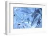 Patterns and textures of ice blocks near Fairbanks, Alaska, USA-Stuart Westmorland-Framed Photographic Print