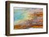 Patterns in bacterial mat around Grand Prismatic spring, Midway Geyser Basin, Yellowstone NP, WY-Adam Jones-Framed Photographic Print