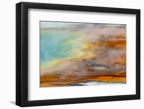 Patterns in bacterial mat around Grand Prismatic spring, Midway Geyser Basin, Yellowstone NP, WY-Adam Jones-Framed Photographic Print