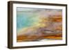 Patterns in bacterial mat around Grand Prismatic spring, Midway Geyser Basin, Yellowstone NP, WY-Adam Jones-Framed Photographic Print