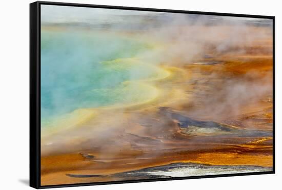 Patterns in bacterial mat around Grand Prismatic spring, Midway Geyser Basin, Yellowstone NP, WY-Adam Jones-Framed Stretched Canvas