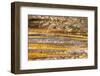 Patterns in bacterial mat around Grand Prismatic spring, Midway Geyser Basin, Yellowstone NP, WY-Adam Jones-Framed Photographic Print