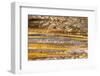 Patterns in bacterial mat around Grand Prismatic spring, Midway Geyser Basin, Yellowstone NP, WY-Adam Jones-Framed Photographic Print