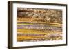 Patterns in bacterial mat around Grand Prismatic spring, Midway Geyser Basin, Yellowstone NP, WY-Adam Jones-Framed Photographic Print