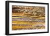 Patterns in bacterial mat around Grand Prismatic spring, Midway Geyser Basin, Yellowstone NP, WY-Adam Jones-Framed Photographic Print