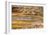 Patterns in bacterial mat around Grand Prismatic spring, Midway Geyser Basin, Yellowstone NP, WY-Adam Jones-Framed Photographic Print