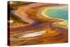 Patterns in bacterial mat around Grand Prismatic spring, Midway Geyser Basin, Yellowstone NP, WY-Adam Jones-Stretched Canvas