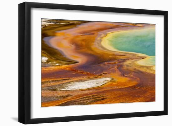 Patterns in bacterial mat around Grand Prismatic spring, Midway Geyser Basin, Yellowstone NP, WY-Adam Jones-Framed Photographic Print