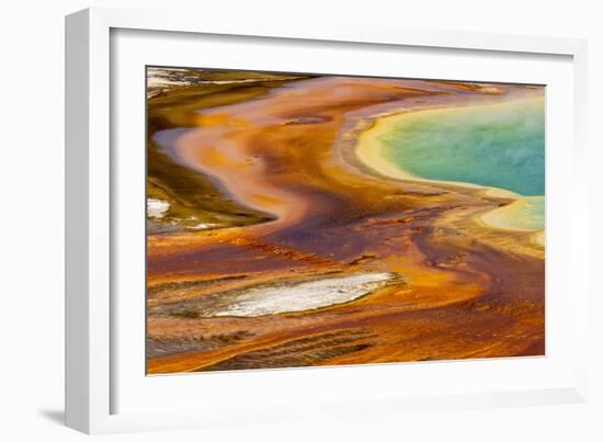 Patterns in bacterial mat around Grand Prismatic spring, Midway Geyser Basin, Yellowstone NP, WY-Adam Jones-Framed Photographic Print