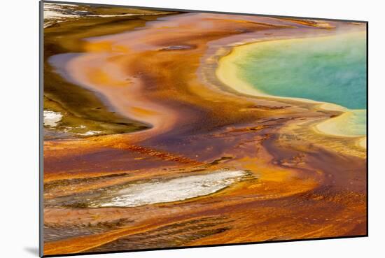 Patterns in bacterial mat around Grand Prismatic spring, Midway Geyser Basin, Yellowstone NP, WY-Adam Jones-Mounted Photographic Print