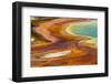 Patterns in bacterial mat around Grand Prismatic spring, Midway Geyser Basin, Yellowstone NP, WY-Adam Jones-Framed Photographic Print