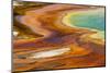 Patterns in bacterial mat around Grand Prismatic spring, Midway Geyser Basin, Yellowstone NP, WY-Adam Jones-Mounted Photographic Print