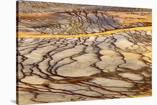 Patterns in bacterial mat around Grand Prismatic spring, Midway Geyser Basin, Yellowstone NP, WY-Adam Jones-Stretched Canvas