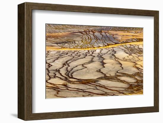 Patterns in bacterial mat around Grand Prismatic spring, Midway Geyser Basin, Yellowstone NP, WY-Adam Jones-Framed Photographic Print