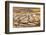 Patterns in bacterial mat around Grand Prismatic spring, Midway Geyser Basin, Yellowstone NP, WY-Adam Jones-Framed Photographic Print