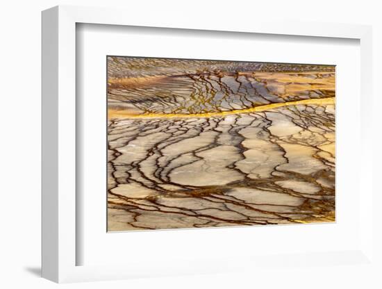 Patterns in bacterial mat around Grand Prismatic spring, Midway Geyser Basin, Yellowstone NP, WY-Adam Jones-Framed Photographic Print