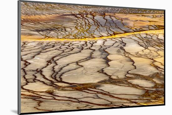 Patterns in bacterial mat around Grand Prismatic spring, Midway Geyser Basin, Yellowstone NP, WY-Adam Jones-Mounted Photographic Print