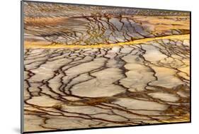 Patterns in bacterial mat around Grand Prismatic spring, Midway Geyser Basin, Yellowstone NP, WY-Adam Jones-Mounted Photographic Print