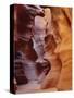 Patterns in Eroded Rocks, Upper Antelope Canyon (Slot Canyon), Page, Arizona, USA-Roy Rainford-Stretched Canvas