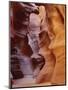 Patterns in Eroded Rocks, Upper Antelope Canyon (Slot Canyon), Page, Arizona, USA-Roy Rainford-Mounted Photographic Print