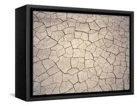 Patterns in Mud Cracks in Drought Area-James Gritz-Framed Stretched Canvas