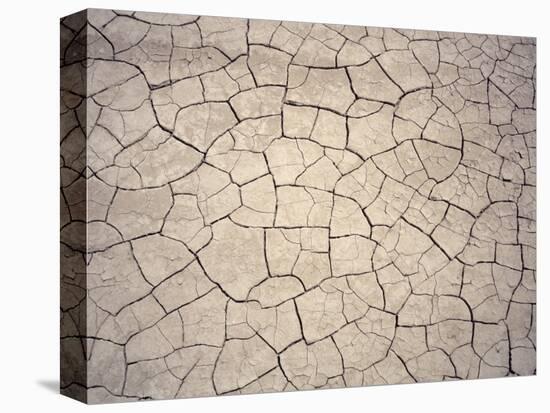 Patterns in Mud Cracks in Drought Area-James Gritz-Stretched Canvas