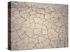 Patterns in Mud Cracks in Drought Area-James Gritz-Stretched Canvas