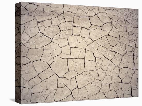 Patterns in Mud Cracks in Drought Area-James Gritz-Stretched Canvas