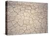 Patterns in Mud Cracks in Drought Area-James Gritz-Stretched Canvas