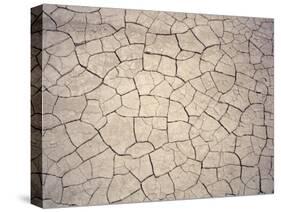 Patterns in Mud Cracks in Drought Area-James Gritz-Stretched Canvas