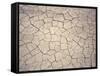 Patterns in Mud Cracks in Drought Area-James Gritz-Framed Stretched Canvas