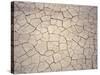 Patterns in Mud Cracks in Drought Area-James Gritz-Stretched Canvas