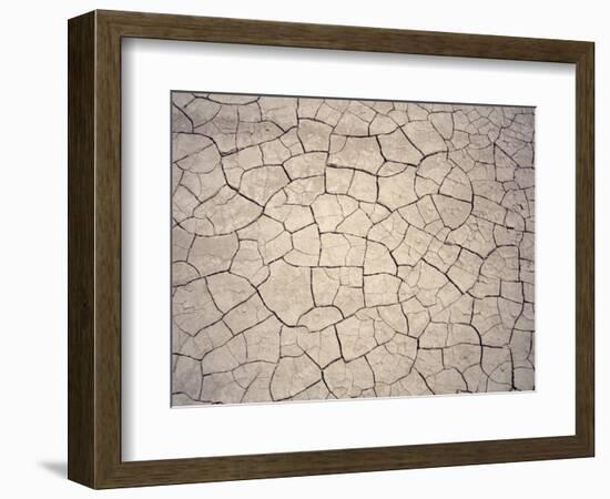 Patterns in Mud Cracks in Drought Area-James Gritz-Framed Photographic Print